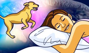 Qué Significa Soñar con Perros, Una Ventana al Amor Perruno - Pamppy