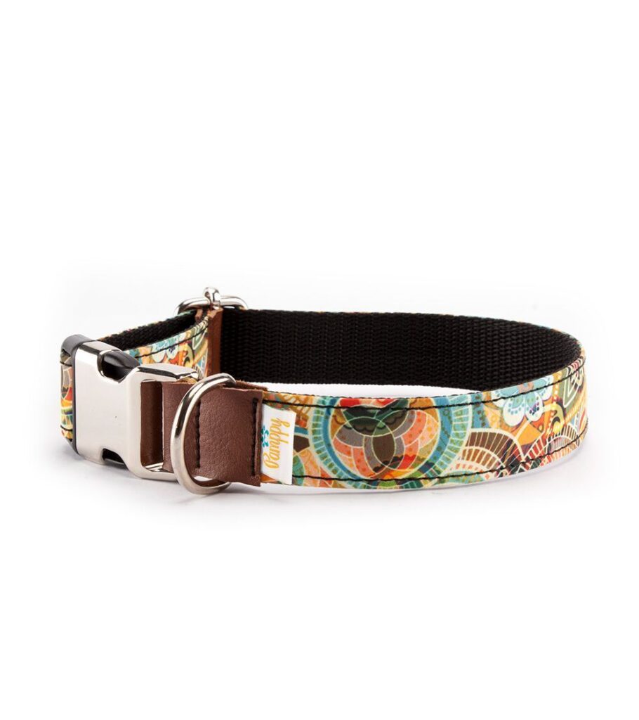 5 collares originales para perros que no encontrarás en Amazon (ni querrás buscar) - Pamppy
