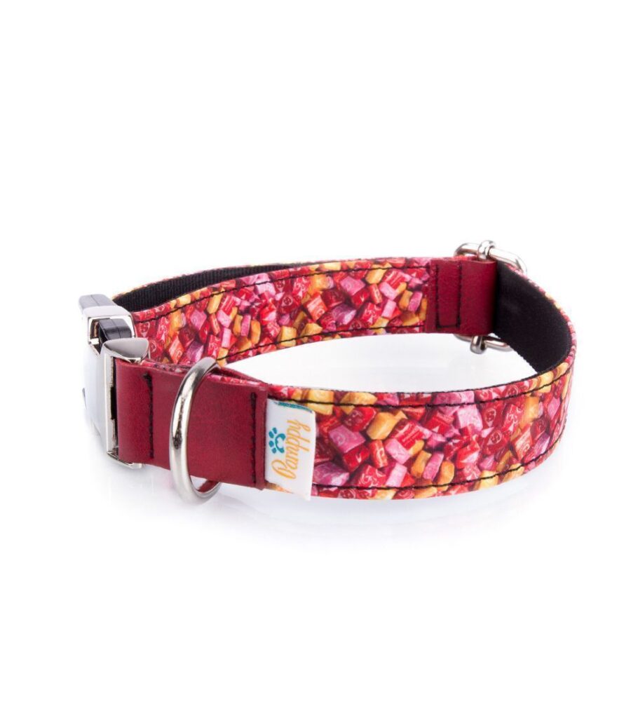 5 collares originales para perros que no encontrarás en Amazon (ni querrás buscar) - Pamppy