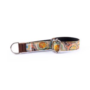 Collar Perro Pequeño Piccolo India Verde - Pamppy