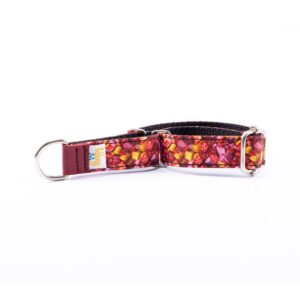 Collar Perro Pequeño Piccolo Caramelos - Pamppy