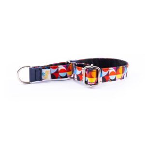 Collar Perro Pequeño Piccolo Retro Colors - Pamppy