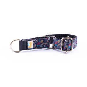 Collar Perro Pequeño Piccolo Evan Skulls - Pamppy