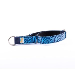 Collar Perro Pequeño Piccolo Cebra Azul - Pamppy
