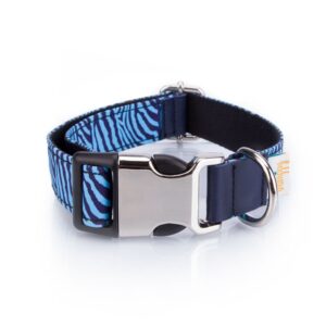 Collar Perro Funny Cebra Azul - Pamppy