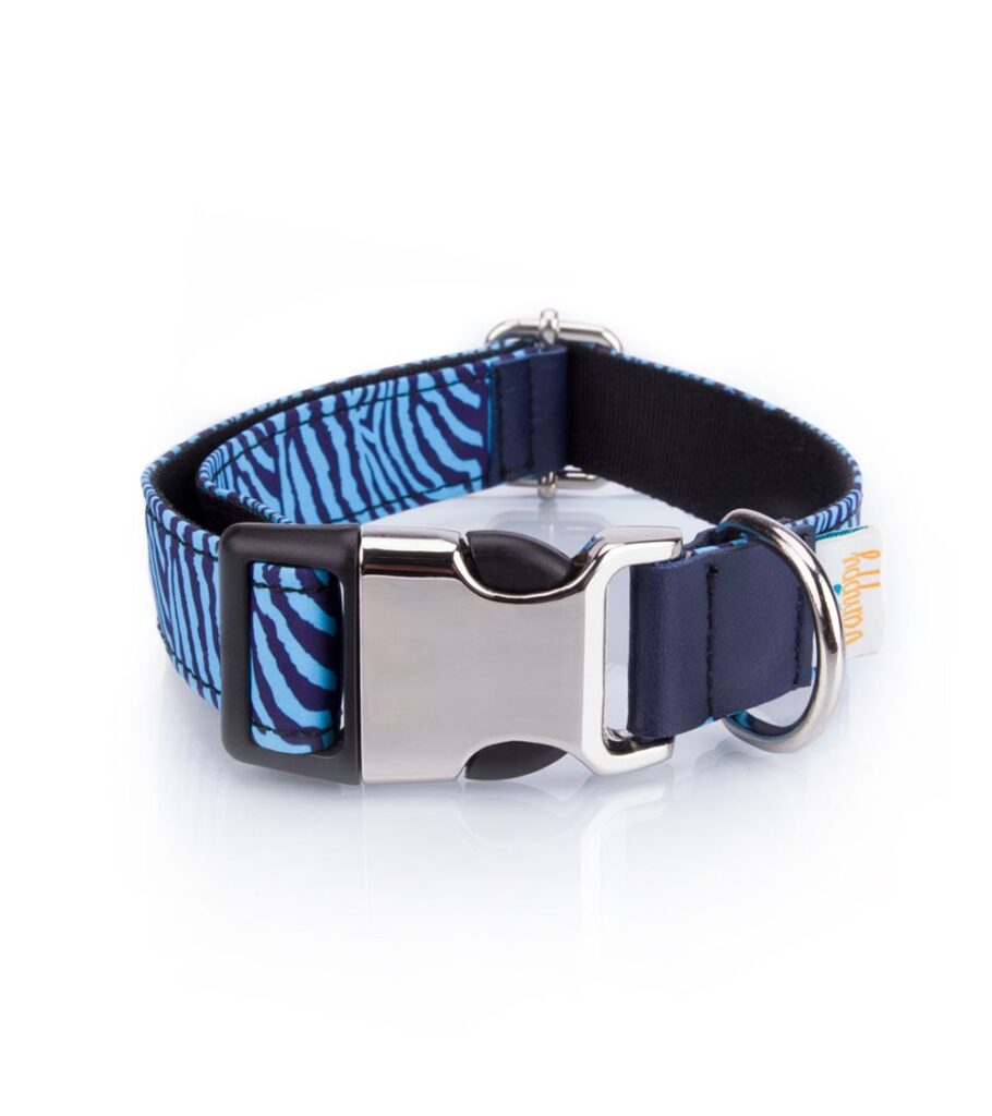 Collar Perro Funny Cebra Azul - Pamppy