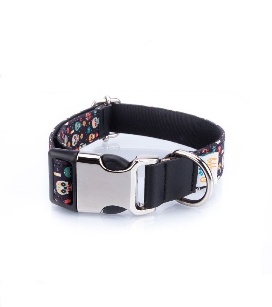 Collar Perro Funny Calavera Mexicana - Pamppy
