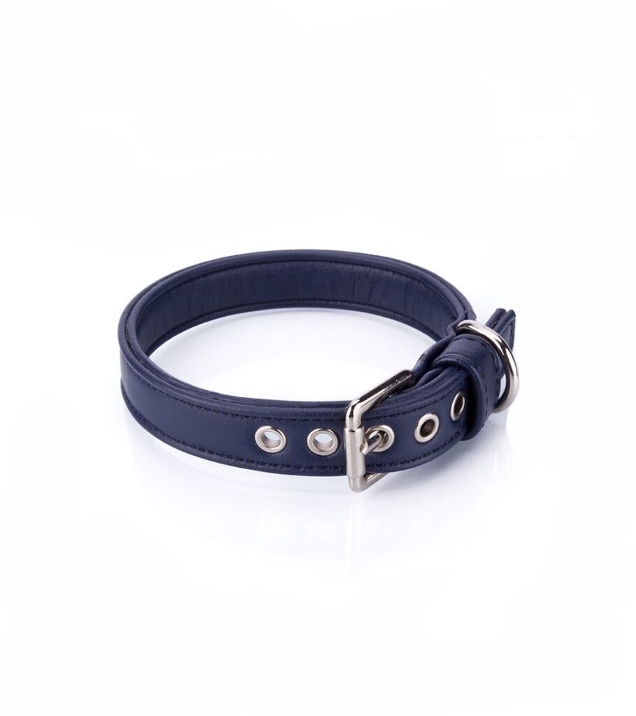 Collar Vegano Cher Azul - Pamppy