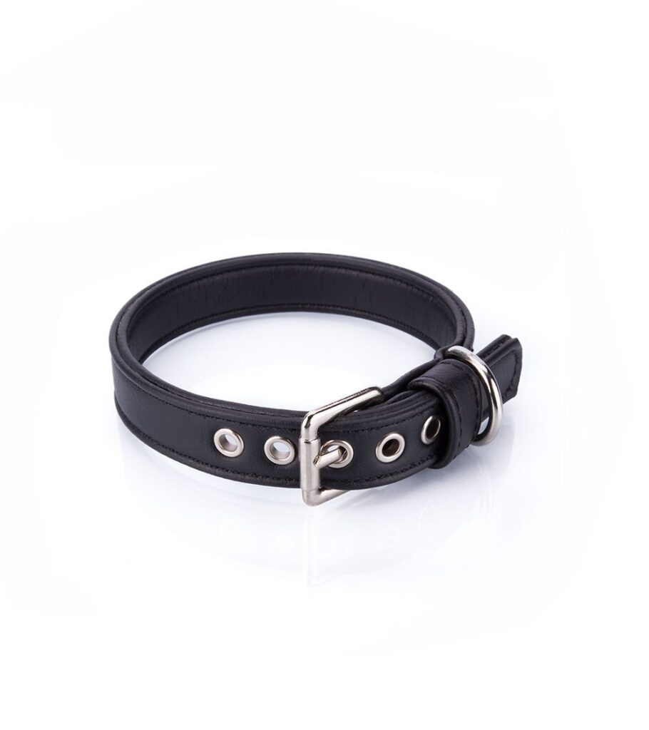 Collar Vegano Cher Negro - Pamppy
