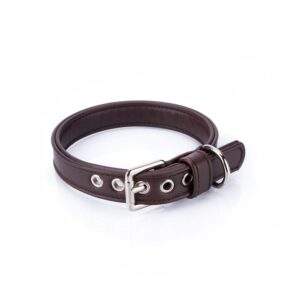 Collar Vegano Cher Marrón - Pamppy