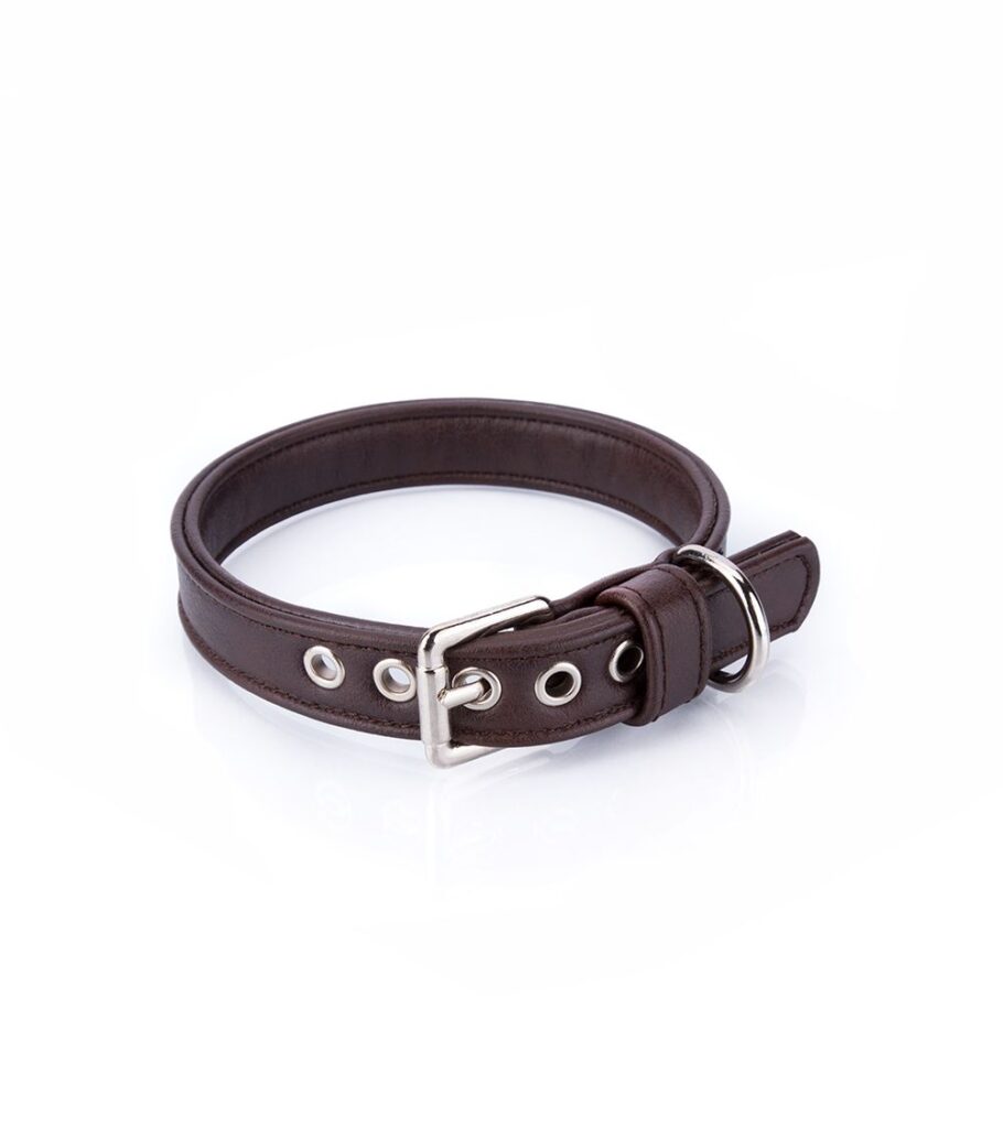 Collar Vegano Cher Marrón - Pamppy