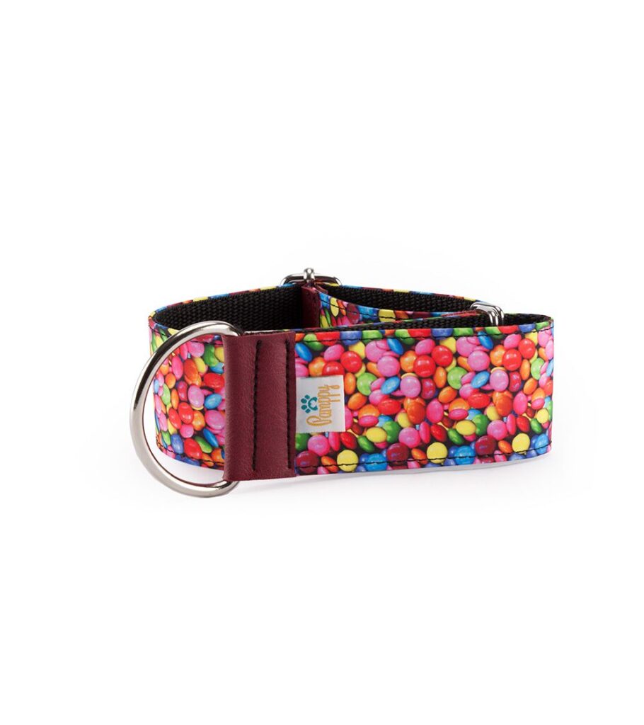 Collar Galgo Speedy Regulable Chocolatinas - Pamppy