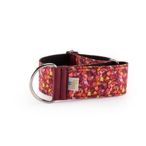 Collar Galgo Speedy Regulable Caramelos - Pamppy