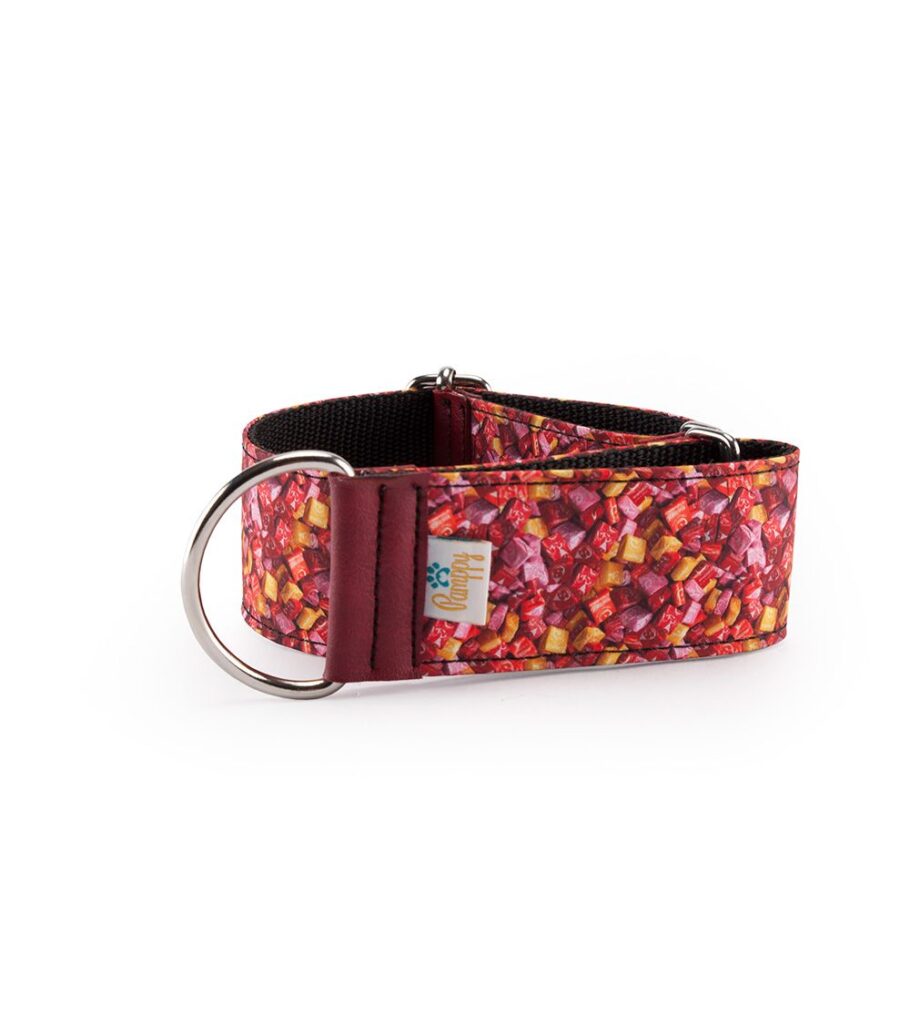 Collar Galgo Speedy Regulable Caramelos - Pamppy
