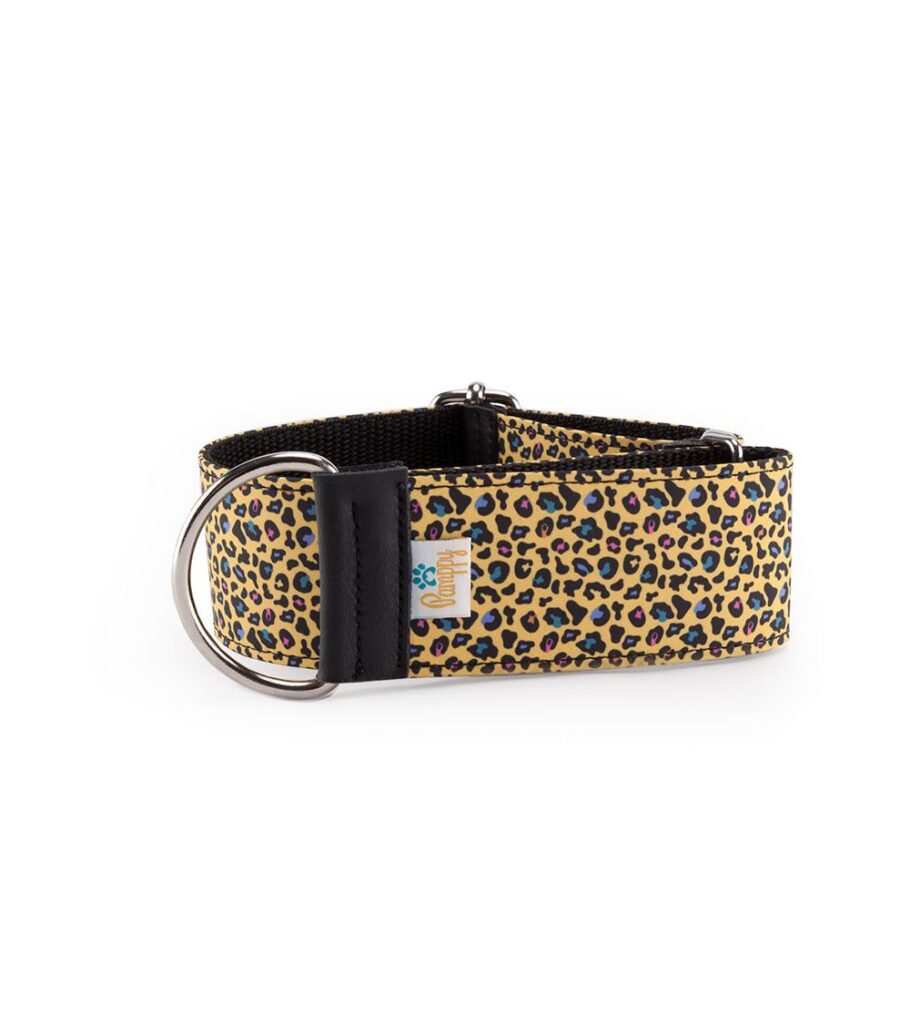 Collar Galgo Speedy Regulable Leopardo Amarillo - Pamppy