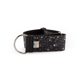 Collar Galgo Speedy Regulable Evan - Pamppy