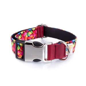 Collar Perro Funny Chocolatinas - Pamppy