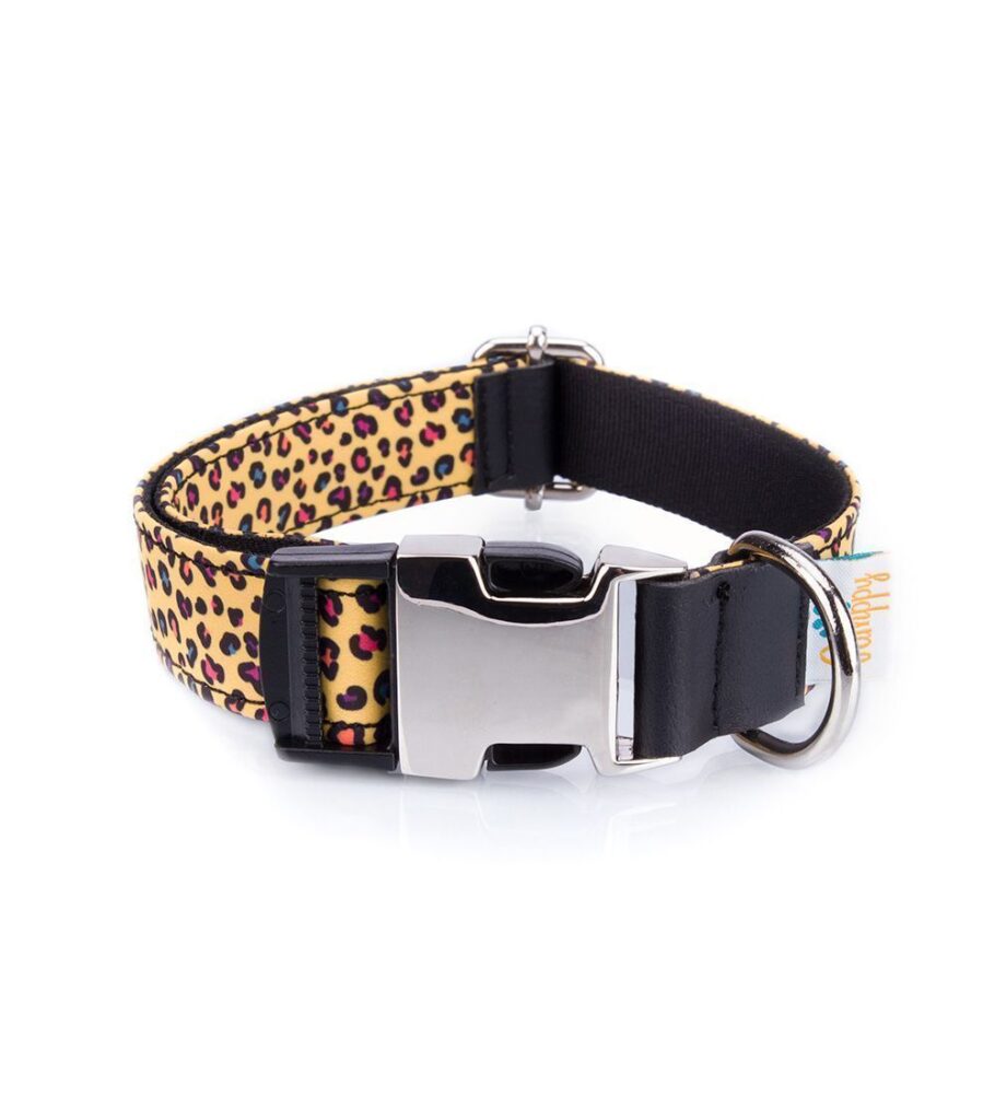Collar Perro Funny Leopardo Amarillo - Pamppy