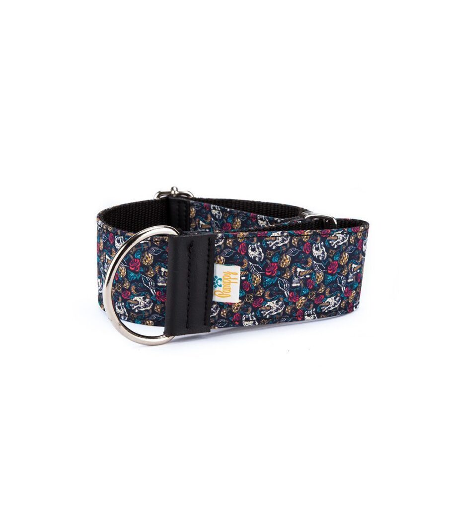 Collar Galgo Speedy Regulable Evan Skulls - Pamppy