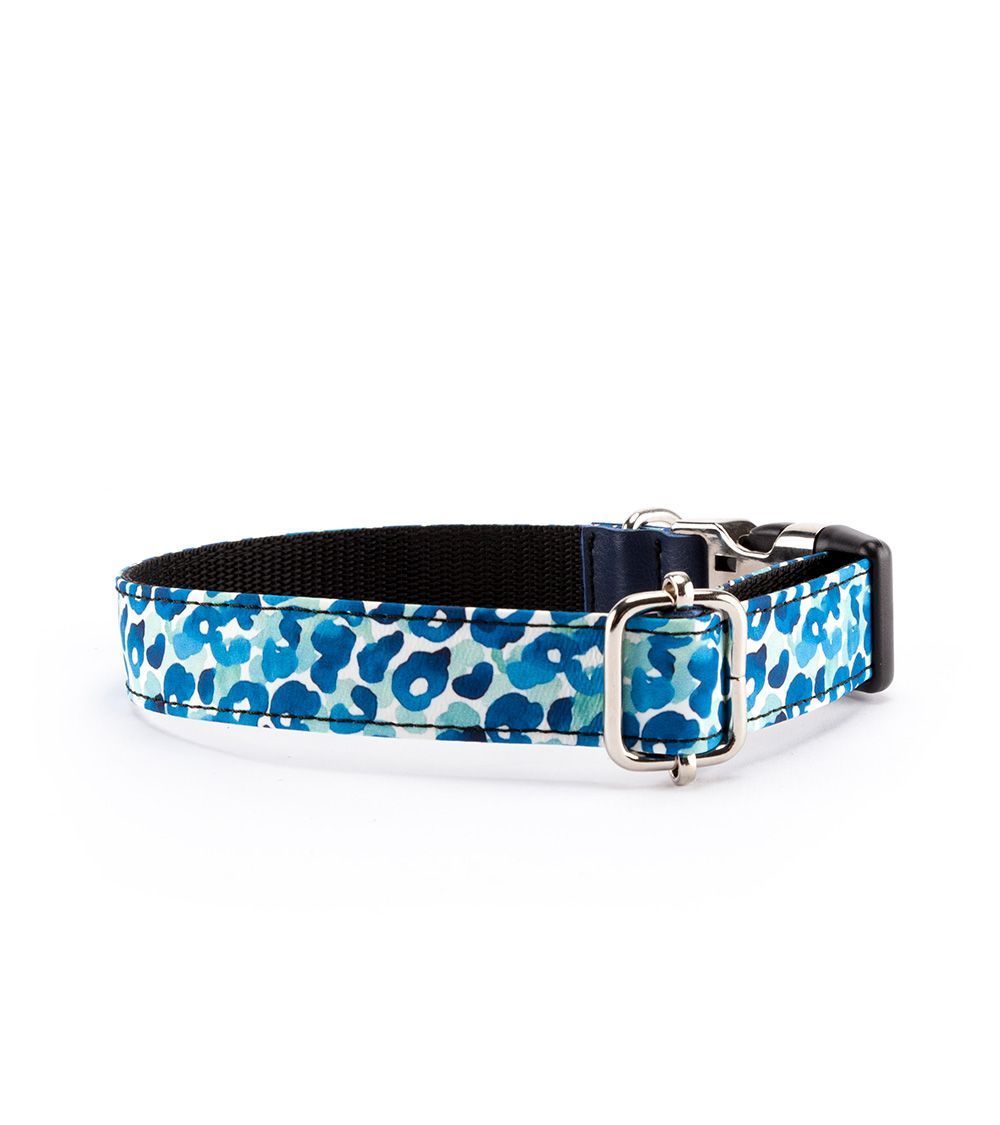 Collar Perro Funny Leopardo Azul - Pamppy