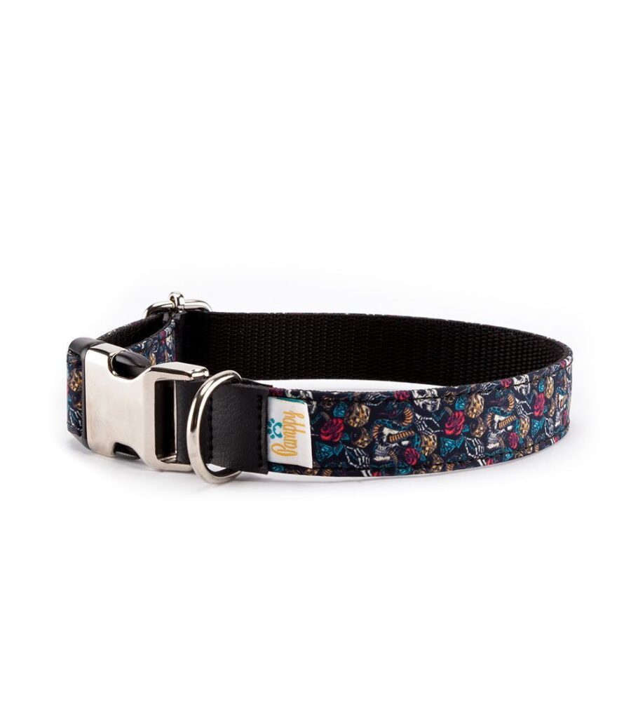 Collar Perro Funny Evan Skulls - Pamppy