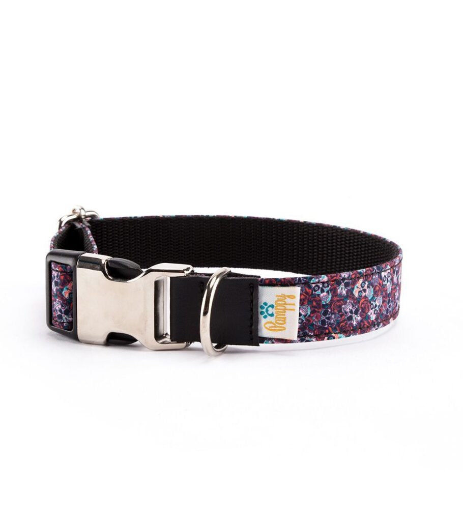 Collar Perro Funny Evan Roses - Pamppy