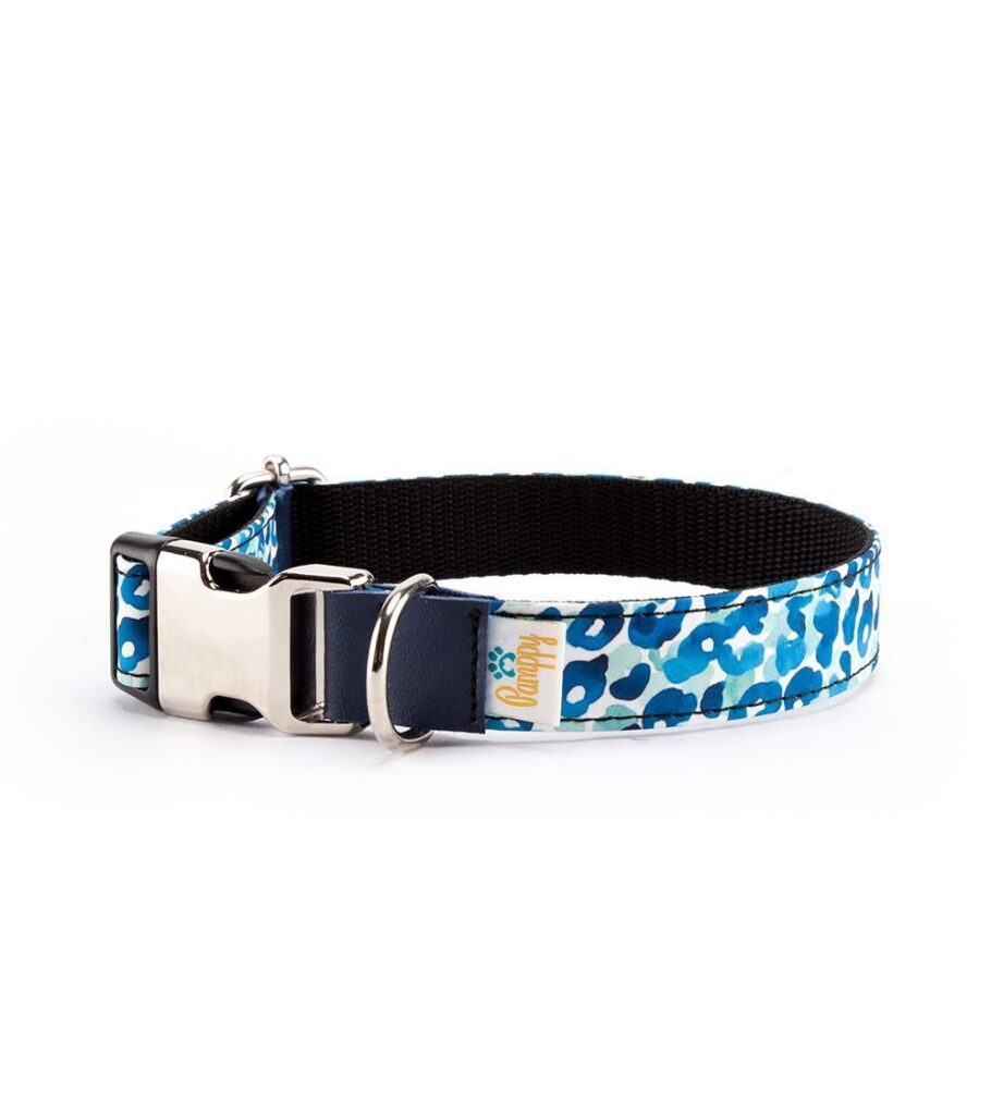 Collar Perro Funny Leopardo Azul - Pamppy