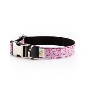 Collar Perro Funny Nubes - Pamppy
