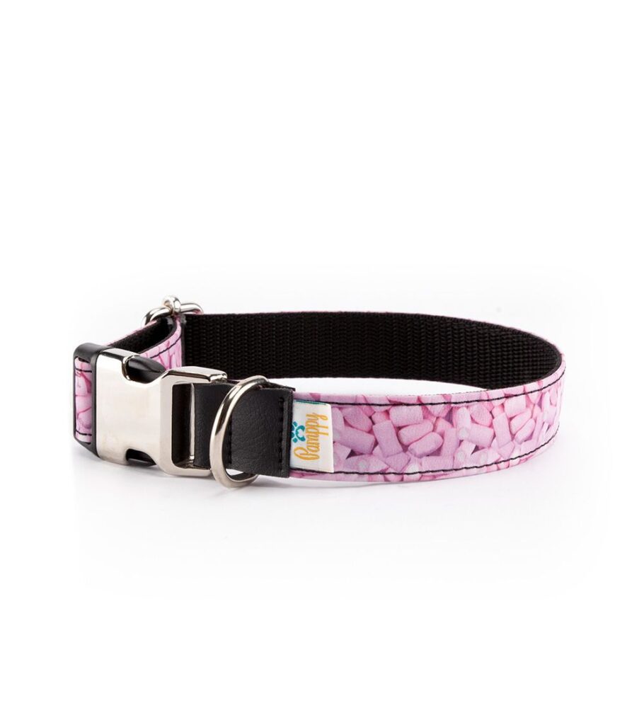 Collar Perro Funny Nubes - Pamppy