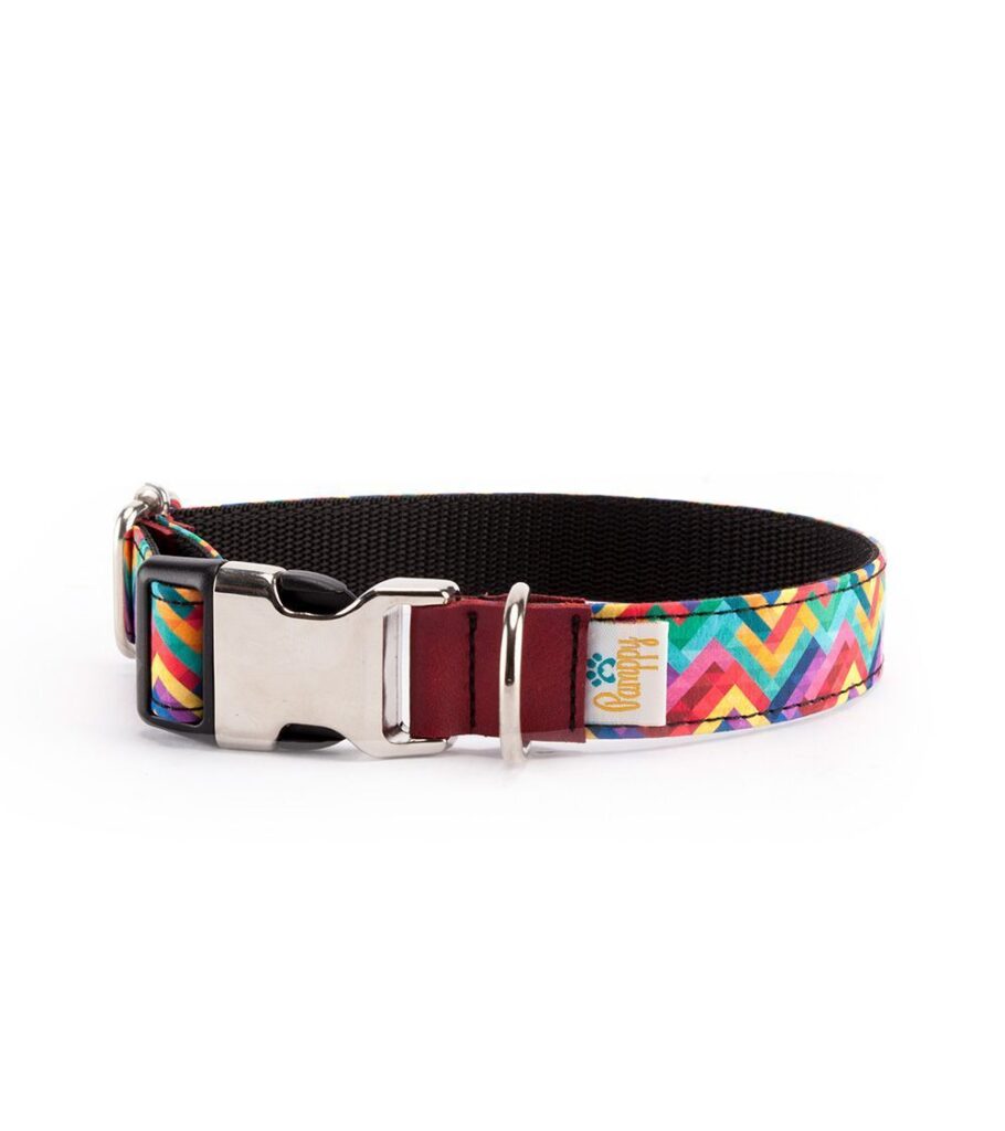 Collar Perro Funny Pixel - Pamppy