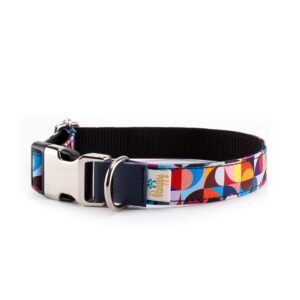 Collar Perro Funny Retro Colors - Pamppy