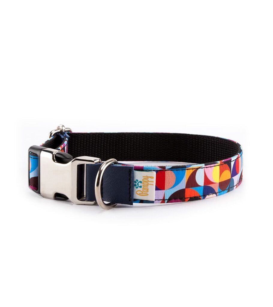 Collar Perro Funny Retro Colors - Pamppy