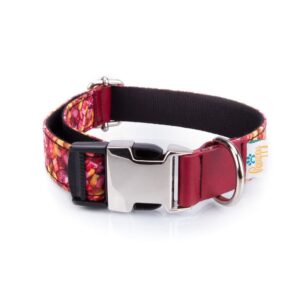 Collar Perro Funny Caramelos - Pamppy