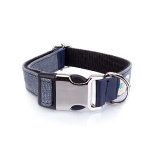 Collar Perro Funny Vaquero Desgastado - Pamppy