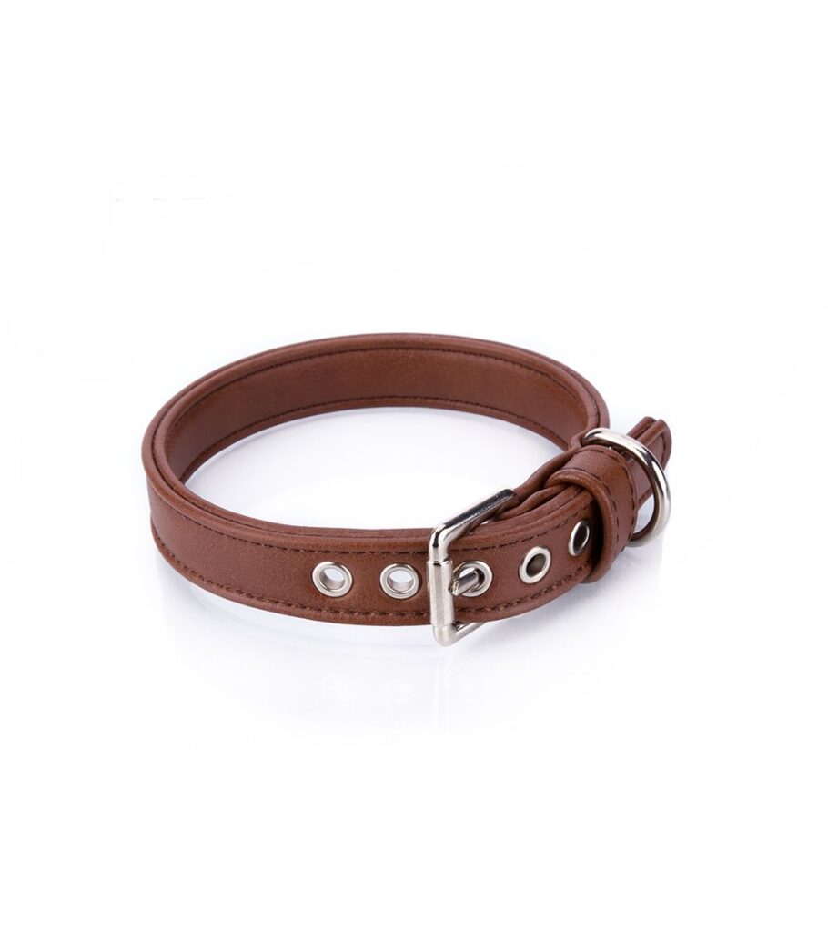 Collar Vegano Cher Cuero - Pamppy