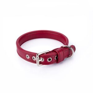 Collar Vegano Cher Rojo - Pamppy