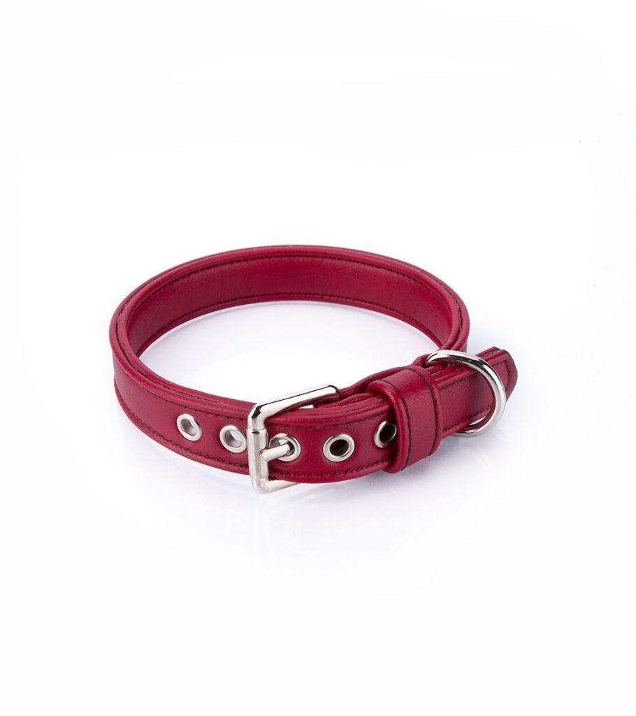 Collar Vegano Cher Rojo - Pamppy