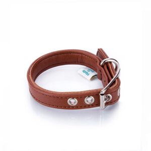 Collar Perro Vegano Toy Camel - Pamppy