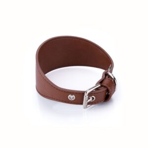 Collar Vegano Galgo Camel - Pamppy