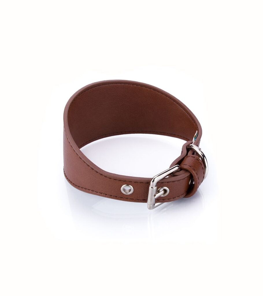 Collar Vegano Galgo Camel - Pamppy