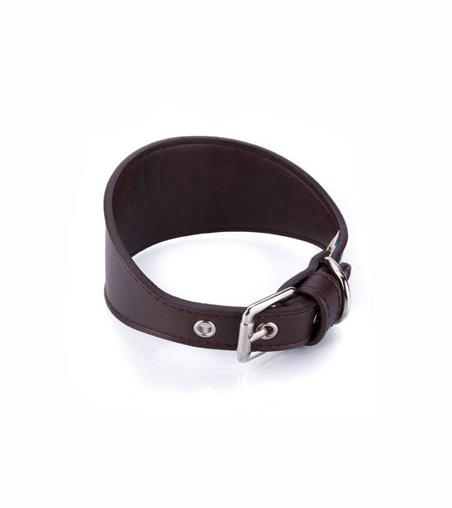 Collar Vegano Galgo Marrón - Pamppy