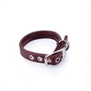 Collar Perro Vegano Toy Marrón - Pamppy