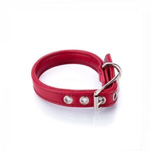 Collar Perro Vegano Toy Rojo - Pamppy