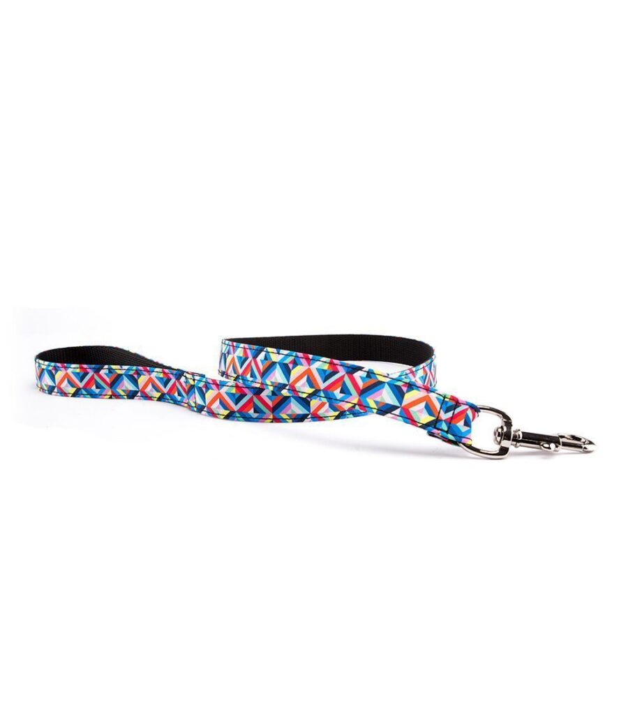 Correa para perro Psychedelic - Pamppy