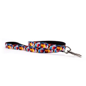 Correa para perro Retro Colors - Pamppy