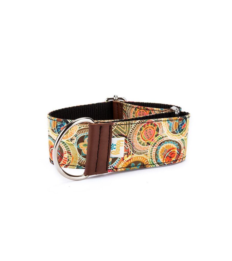 Collar Galgo Speedy Regulable India Verde - Pamppy