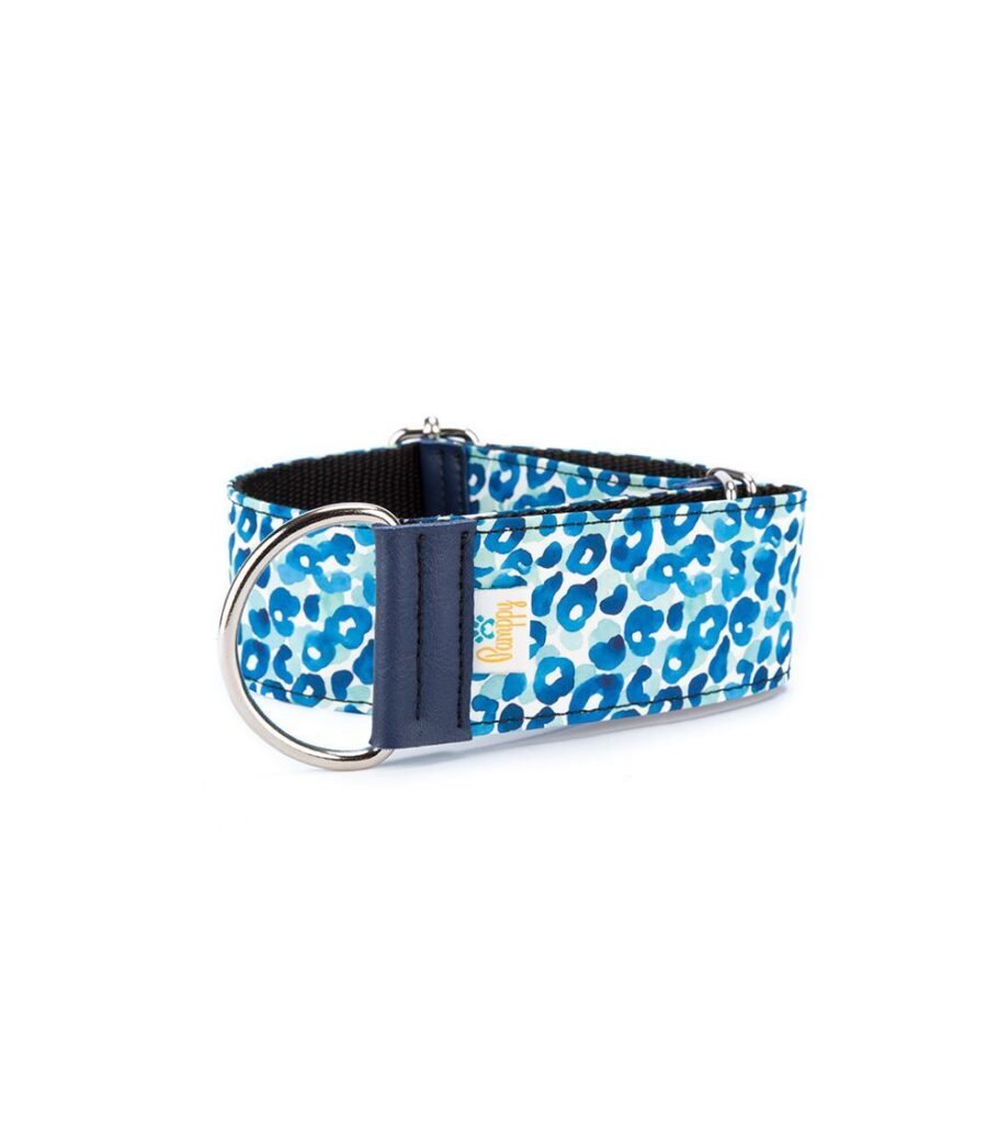 Collar Galgo Speedy Regulable Leopardo Azul - Pamppy