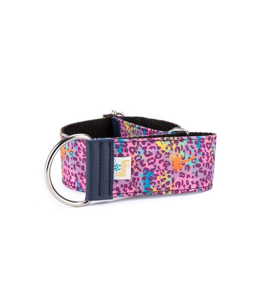 Collar Galgo Speedy Regulable Leopardo Rosa - Pamppy