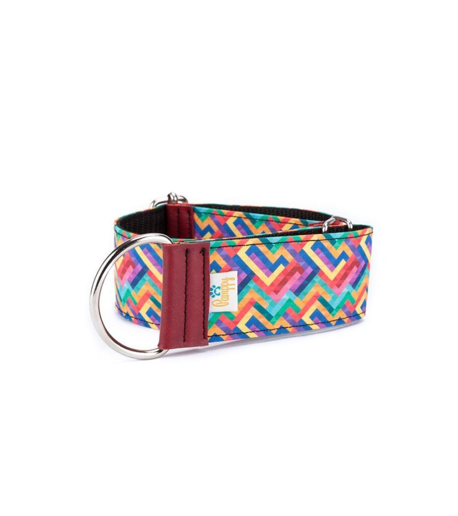 Collar Galgo Speedy Regulable Pixel - Pamppy