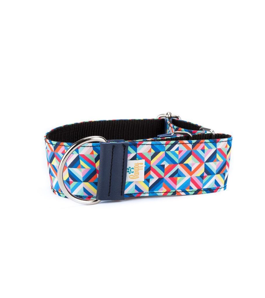 Collar Galgo Speedy Regulable Psychedelic - Pamppy